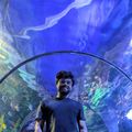 Vaibhav Gautam's avatar