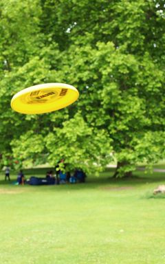 Frisbee and socialise in the park cover