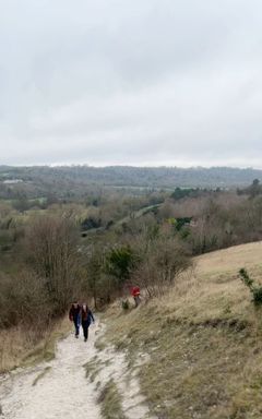WildWorks: Box Hill Hike cover