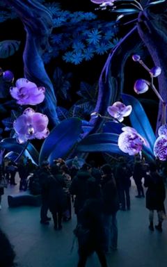 The Natural World Exhibition / Free admission cover