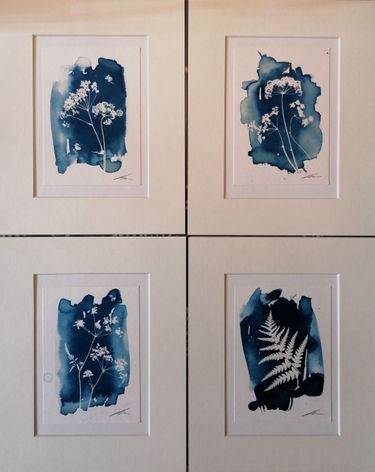 7 image in gallery