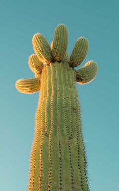 Кофе и разборы с расстановочными фигурками ☕ cover