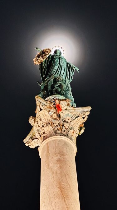 8 image in gallery