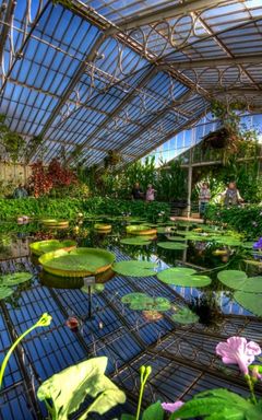 Visit Kew Gardens Feb 25th cover