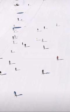 Snow Society (Skiing and snowboarding) cover