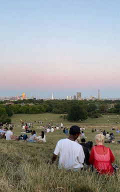 Primrose Hill Picnic cover