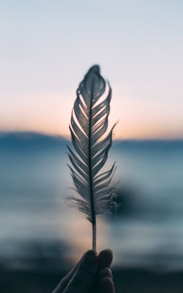 3 image in gallery