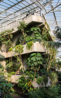 Visit the Barbican Conservatory cover