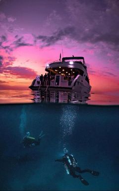 Scuba diving in the Red Sea cover