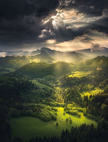 8 image in gallery