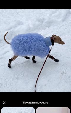 Зима близко…