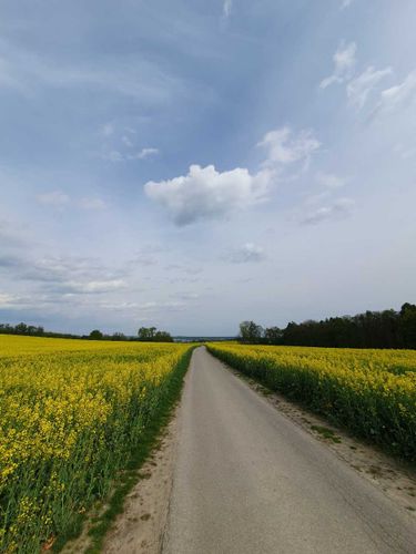 7 image in gallery
