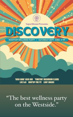 DISCOVERY (disco + recovery) cover