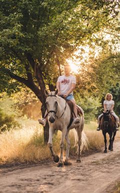 Верховая езда 🏇🏻 cover