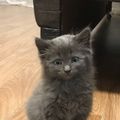 Tymur's avatar