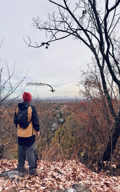 Mills Reservation by Train cover