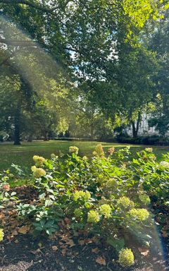 Pimlico / Victoria Local club