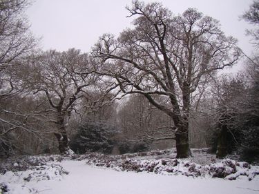 6 image in gallery