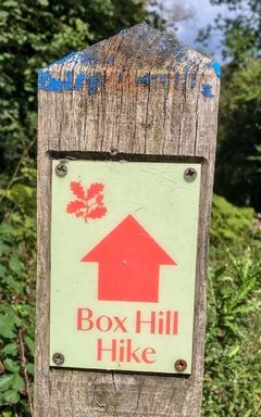 Box Hill, Lodge Hill and Juniper Hill circular cover