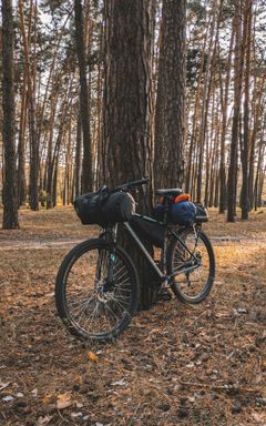 Bikepacking Adventure cover