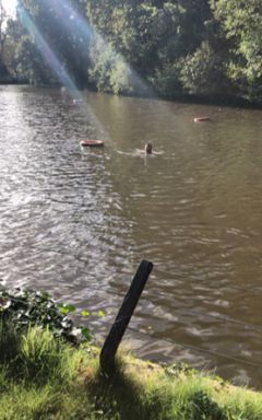 Swimming in Hampstead Heath + Brunch Afterward cover
