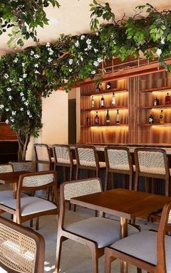 Sunday brunch at Frena cover