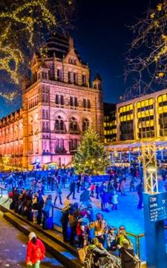 ice skating at the Natural History Museum cover