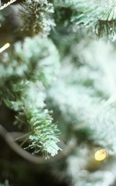 Christmas Candle Workshop cover