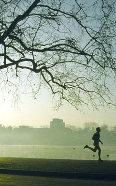 Hydepark run cover