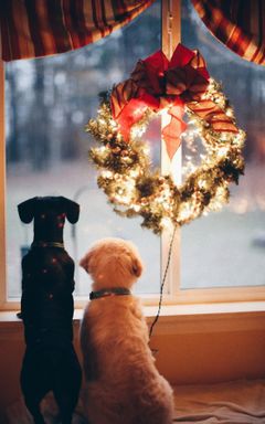 Warsaw Christmas circle (Free) cover
