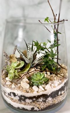 Создаем флорариум 🌵💚 cover