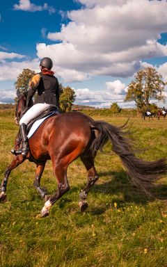 Experience the Joy of Horse Riding cover