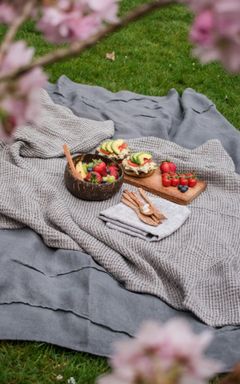 Whole, Natural, Yummy, Nourishing Foods Picnic cover