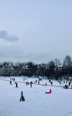 катание с горки!! cover