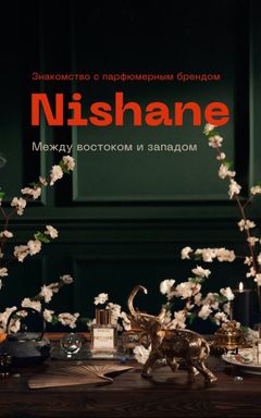 Nishane cover