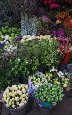 Visit flower market cover