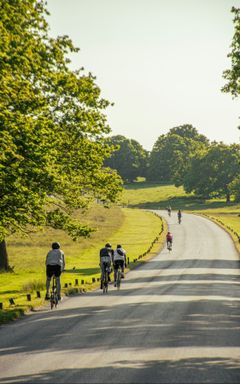 Richmond park picnic Saturday 20 July cover