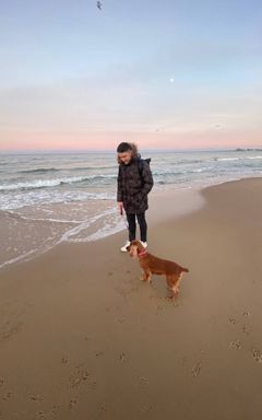 Let’s take our puppies on a walk cover