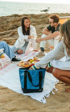 Picnic and volleyball cover