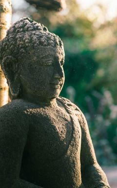 Yoga in Kensington Gardens on Wednesdays 6.30 pm cover