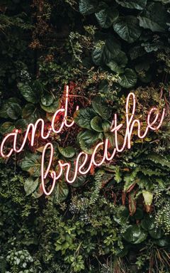 The Science of Breathwork: Reduce Stress & Anxiety cover