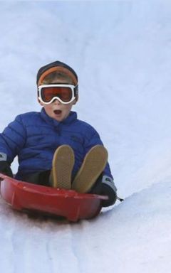 Катаємось на санях 🛷❄️🧤 cover