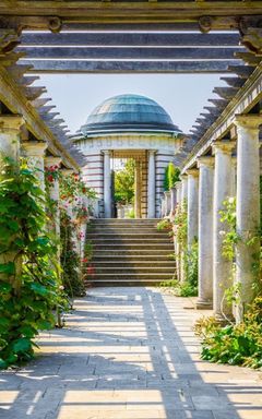 Discover Hampstead Park cover