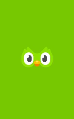Duolingo - accountability partners