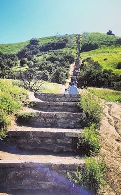 Hike Culver City Stairs cover