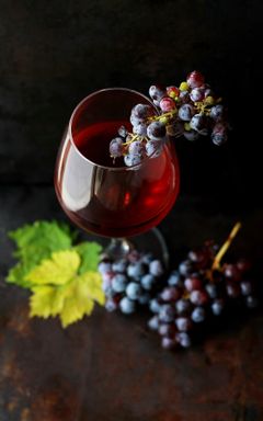 Вино🍷 и ольфакторный образ сортов винограда🍇 cover
