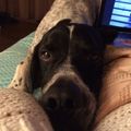 Lana's avatar