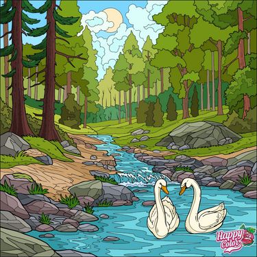 2 image in gallery