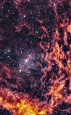 Alchemy Within cover
