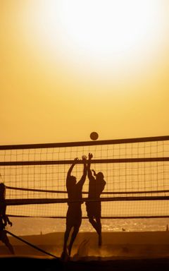 Beach volley club 🏐🏖️ cover